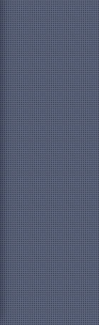 Protective & Investigative Services